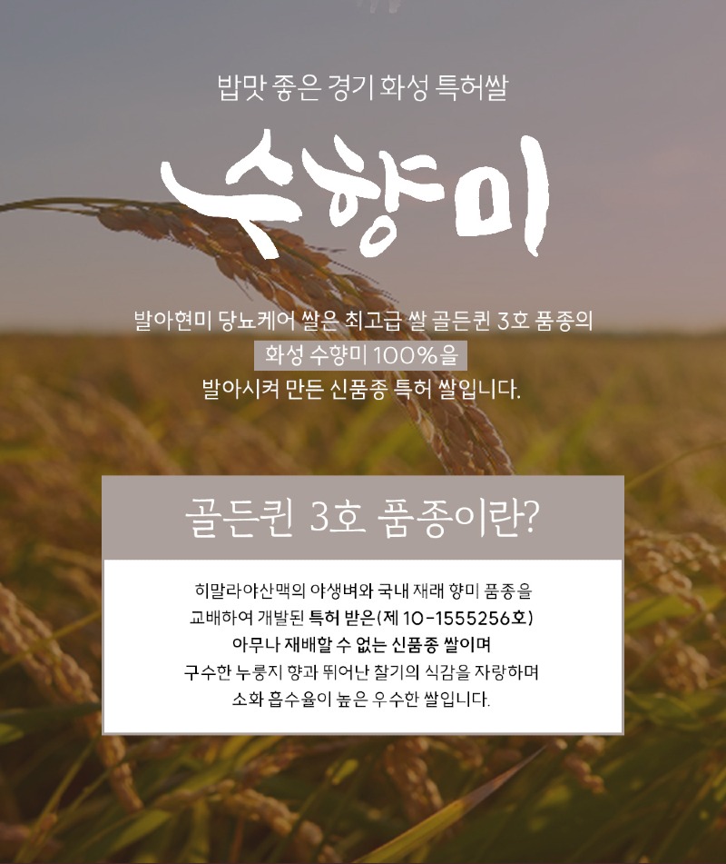 발아현미-당뇨케어-쌀-상세페이지_05.jpg
