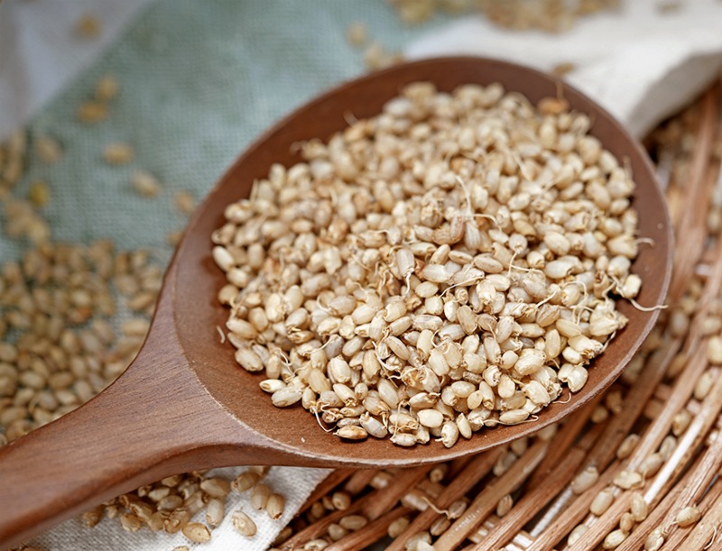 바나듐발아현미 (3).jpg