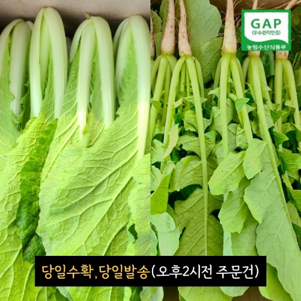 2시.jpg