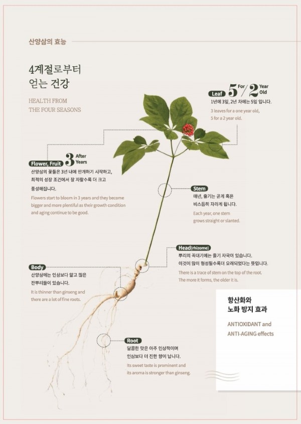 맘카페 캡쳐 6.jpeg